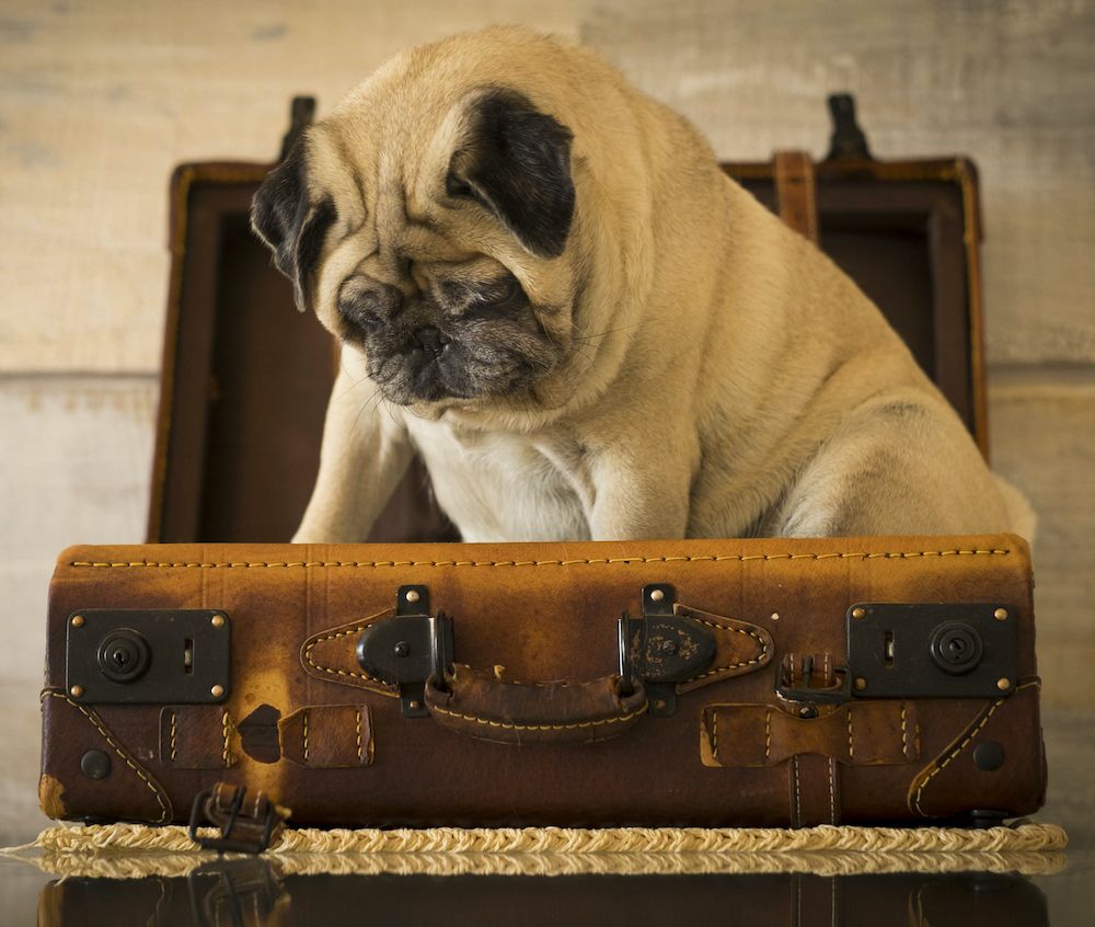 The Gossip Column: December 17, 2021